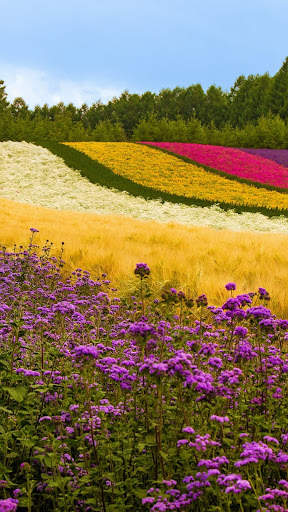 Garden wallpaper screenshot 2
