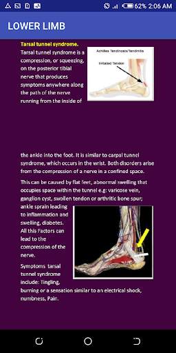 Clinical Anatomy free screenshot 2