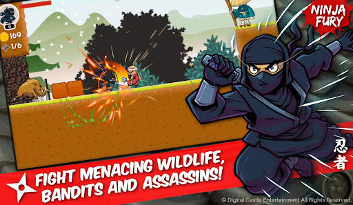 Ninja Fury screenshot 1