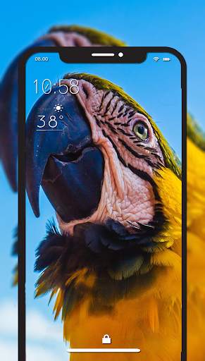 Bird Wallpaper – HD Wallpaper screenshot 1