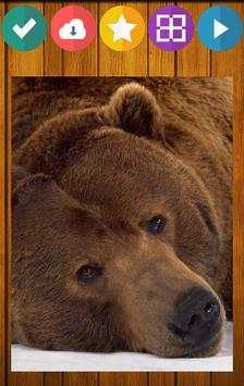 Bear Bears Puzzle screenshot 6