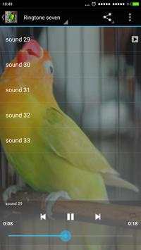 Chirp Bird Ringtone screenshot 3