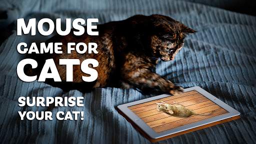 Mouse game toy for cats screenshot 2