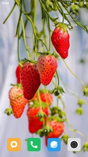 Strawberry Wallpaper HD screenshot 16