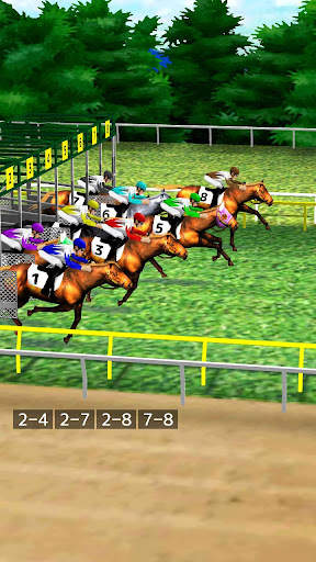 Simple Horse Racing screenshot 2