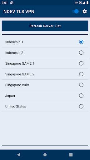 NDEV TLS VPN screenshot 1