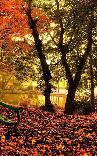 Autumn Live Wallpaper HD screenshot 10