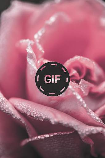 Flowers And Roses 🌷 Animated Images GIF screenshot 2