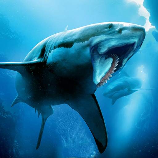 Helicoprion Simulator 1.1.2