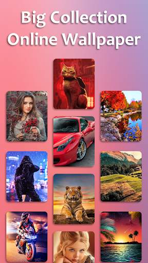Video Wallpaper Maker screenshot 4
