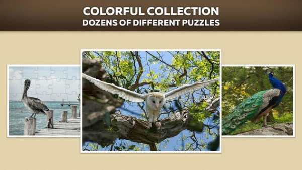 Birds jigsaw puzzle screenshot 2