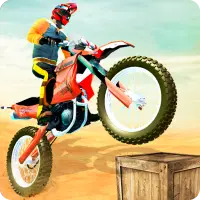Real Bike Tricks