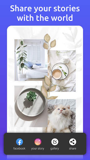 Inspiry - Stories Editor for Instagram screenshot 7