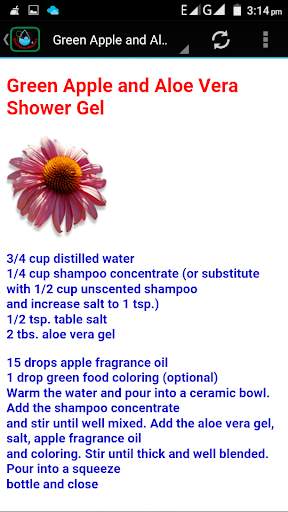 Shampoo Recipes скриншот 3