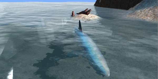 Shark Simulator 3D screenshot 4