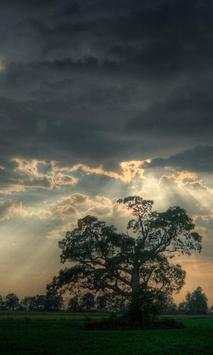 Weather Wallpaper THEMES screenshot 3