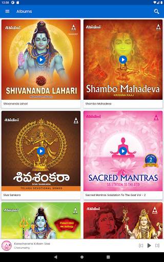 Shiva Devotional screenshot 15