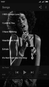 Whitney Houston screenshot 2