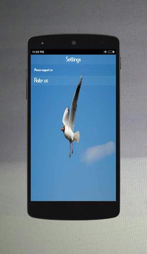 Bird Sounds screenshot 6