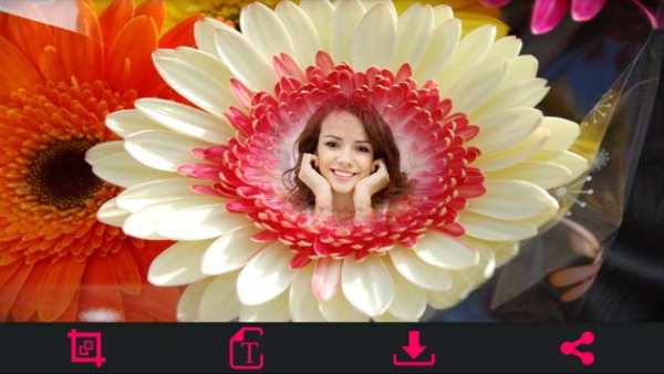 HD Photo Frames - Flowers screenshot 8