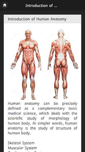 Human Body Free Offline screenshot 2