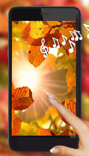 Autumn Sun Live Wallpaper screenshot 1