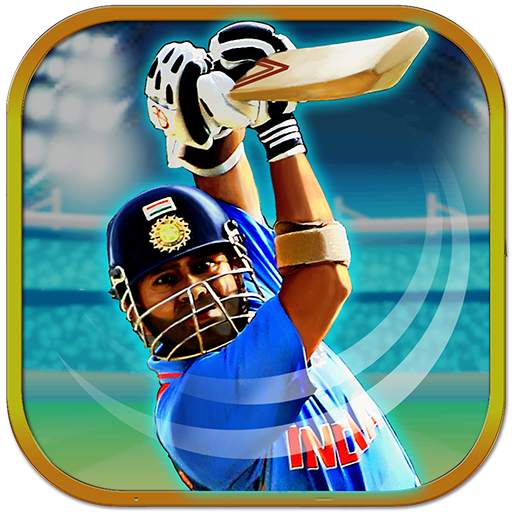 Batsman Cricket Game - Cricket games 2019 1.0