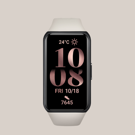 Honor Band 6 icon