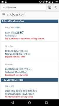 Big Browser screenshot 2