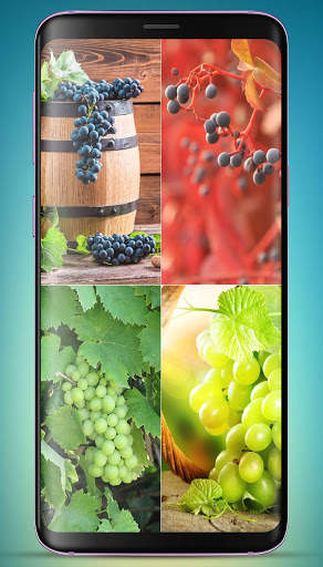 Grapes Wallpaper HD screenshot 2