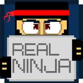 Real Ninja 1.0.29