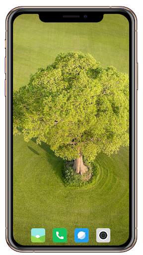 Tree Wallpaper screenshot 15