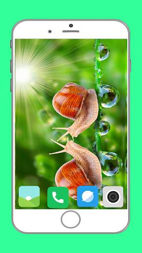 Snail Wallpaper Full HD screenshot 4