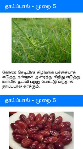 Ayurvedic Tamil Medicine screenshot 6