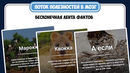 Мозговая викторина : знания скриншот 8