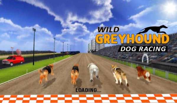 Wild Greyhound Dog Racing screenshot 16