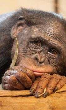 Funny Zoo Puzzle Jigsaw screenshot 3