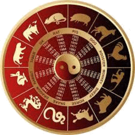 Tu Vi Pro icon