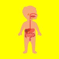 Learning body parts for kids offline flashcards logo