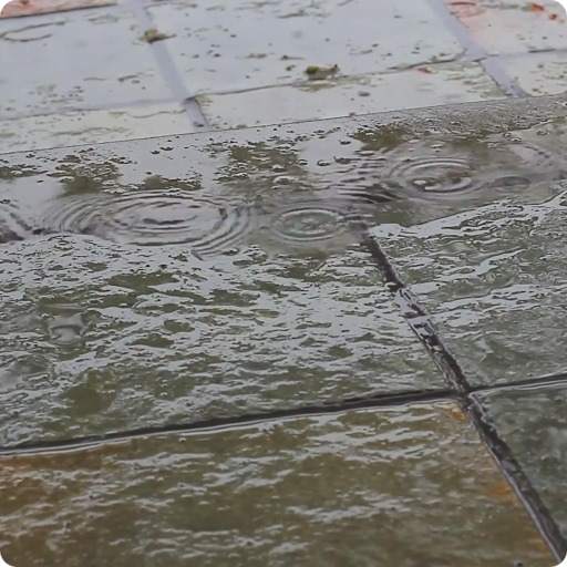 Rain Ripples Live Wallpaper HD 2.0