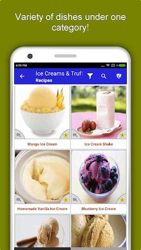 70  Homemade Ice Creams Recipes & Desserts Offline screenshot 5
