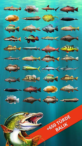 Let's Fish: Balık Oyunları screenshot 3