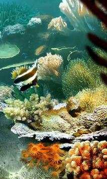 Tropical Fish live wallpaper screenshot 2