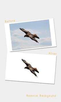 Photo Background Changer screenshot 2