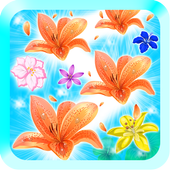 Blossom Crush icon