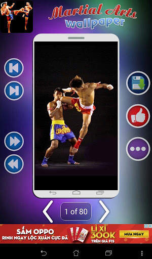Martial Arts Wallpaper screenshot 14