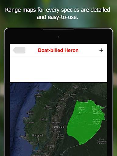 Birds of Ecuador screenshot 20