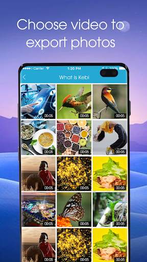 Video to Image Converter 2020 screenshot 4