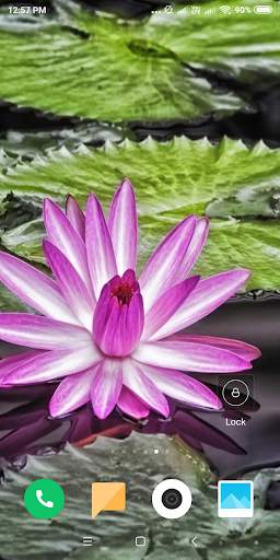 Lotus Wallpaper screenshot 7