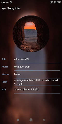 Music Player & Audio Player screenshot 5